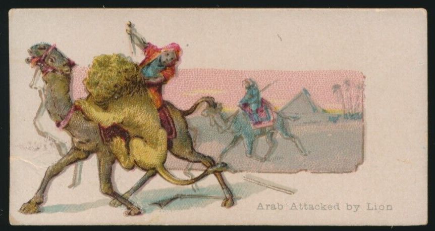 Arab Attacked By Lion